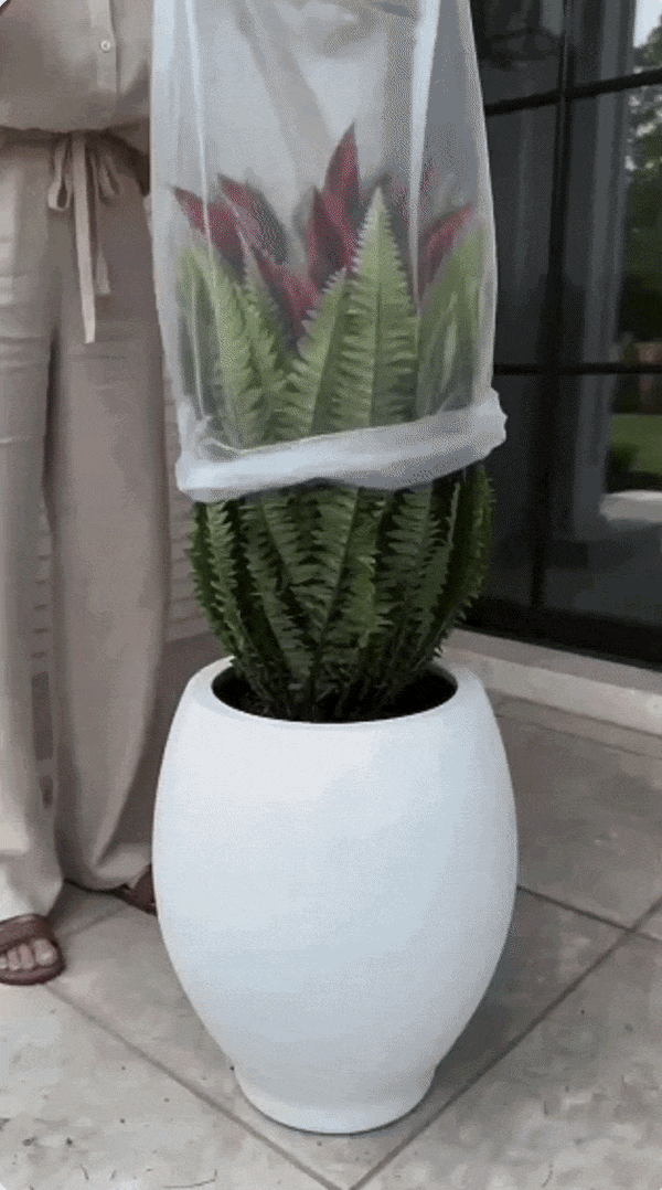 Luxe Kunstplant Dracaena & Bostonvaren  Kleurvast & Onderhoudsvrij