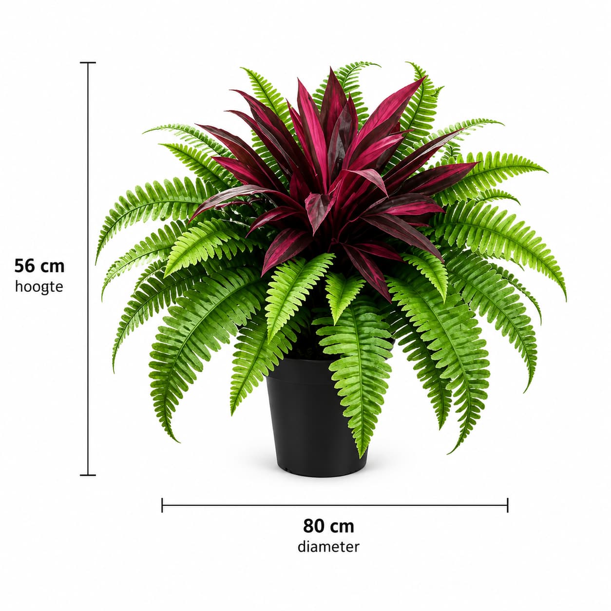 Natuurlijke Kunstplant | Dracaena & Bostonvaren