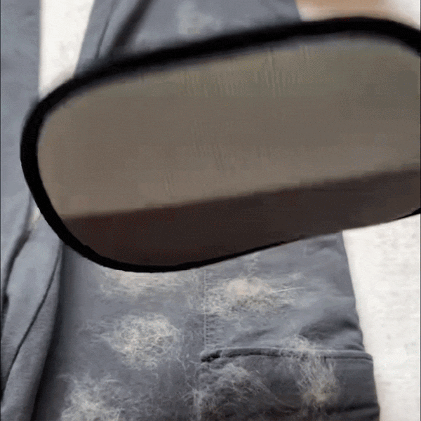 Makkelijk Dierenharen Verzamelhandschoenen