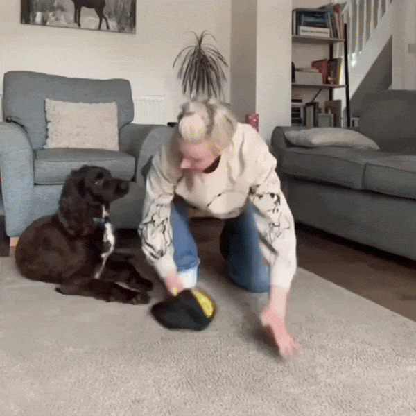 Makkelijk Dierenharen Verzamelhandschoenen