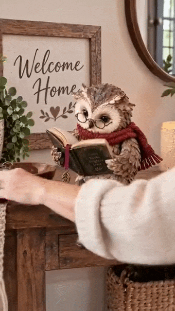 Lezende Uil Beeldje