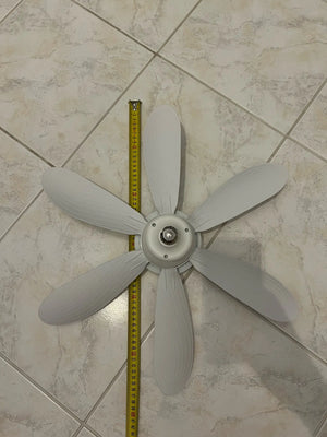 Ac4c1e9d5ba6e48838f4f6697af796e69L.jpg