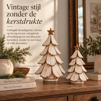 Lichtgevende Kerstboom Decoratie