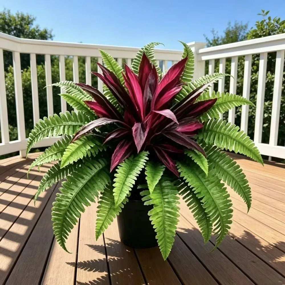 Natuurlijke Kunstplant | Dracaena & Bostonvaren