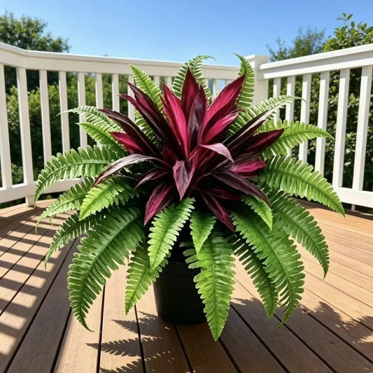 Natuurlijke Kunstplant | Dracaena & Bostonvaren
