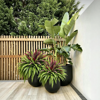 Natuurlijke Kunstplant | Dracaena & Bostonvaren