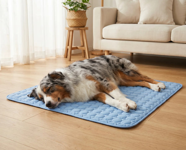 Koelmat voor Honden en Katten