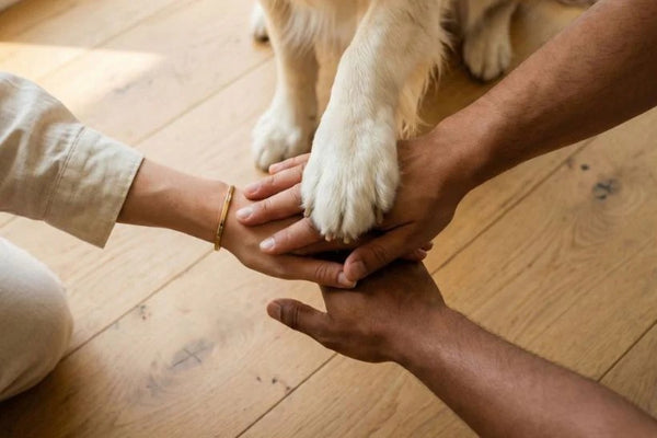 Koelmat voor Honden en Katten