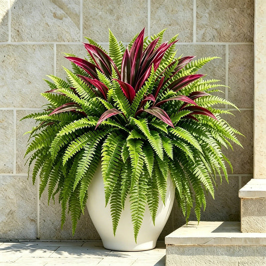 Natuurlijke Kunstplant | Dracaena & Bostonvaren