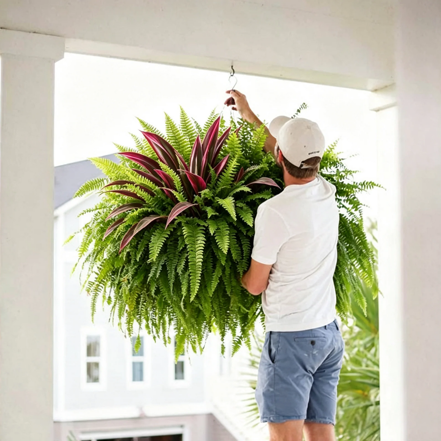 Natuurlijke Kunstplant | Dracaena & Bostonvaren