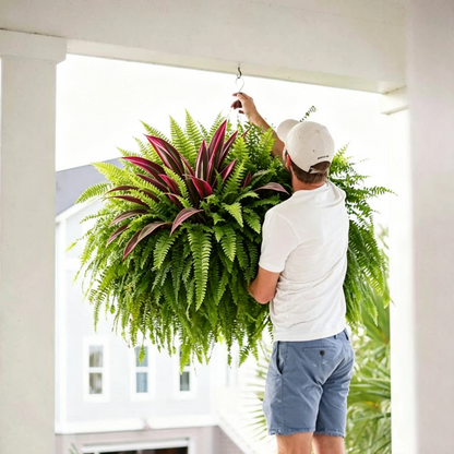 Natuurlijke Kunstplant | Dracaena & Bostonvaren